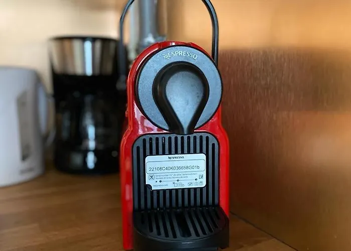 Le Joan Miro - 100m Des Thermes * Vichy